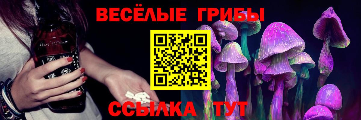 Галлюциногенные грибы Psilocybe  Вход с VPN  Вольск 